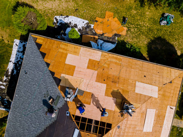 Best Local Roofing Companies  in Walden, TN