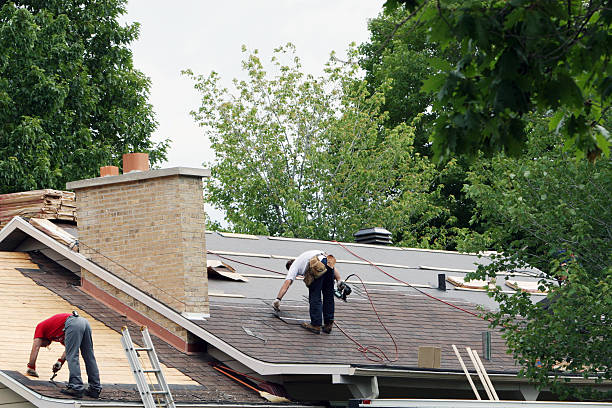 Best Roof Gutter Cleaning  in Walden, TN